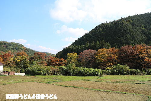 c0113312_0104536.jpg