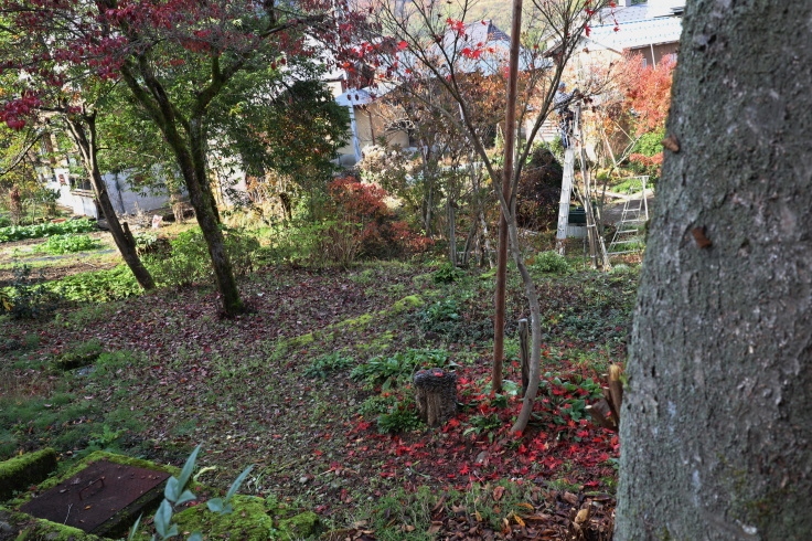 f0067514_16572250.jpg