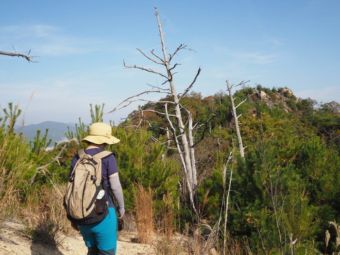 c0116915_00574828.jpg