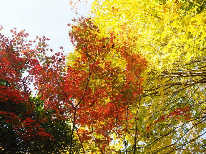 c0116915_01014431.jpg