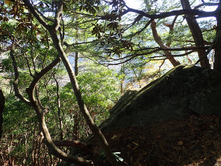 f0193521_4164140.jpg