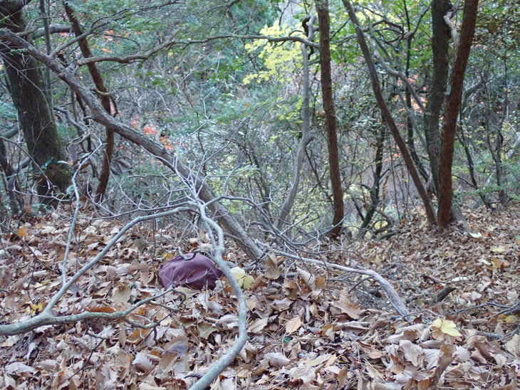 f0193521_565173.jpg
