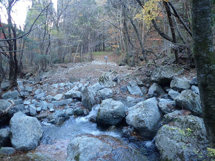 f0193521_735510.jpg
