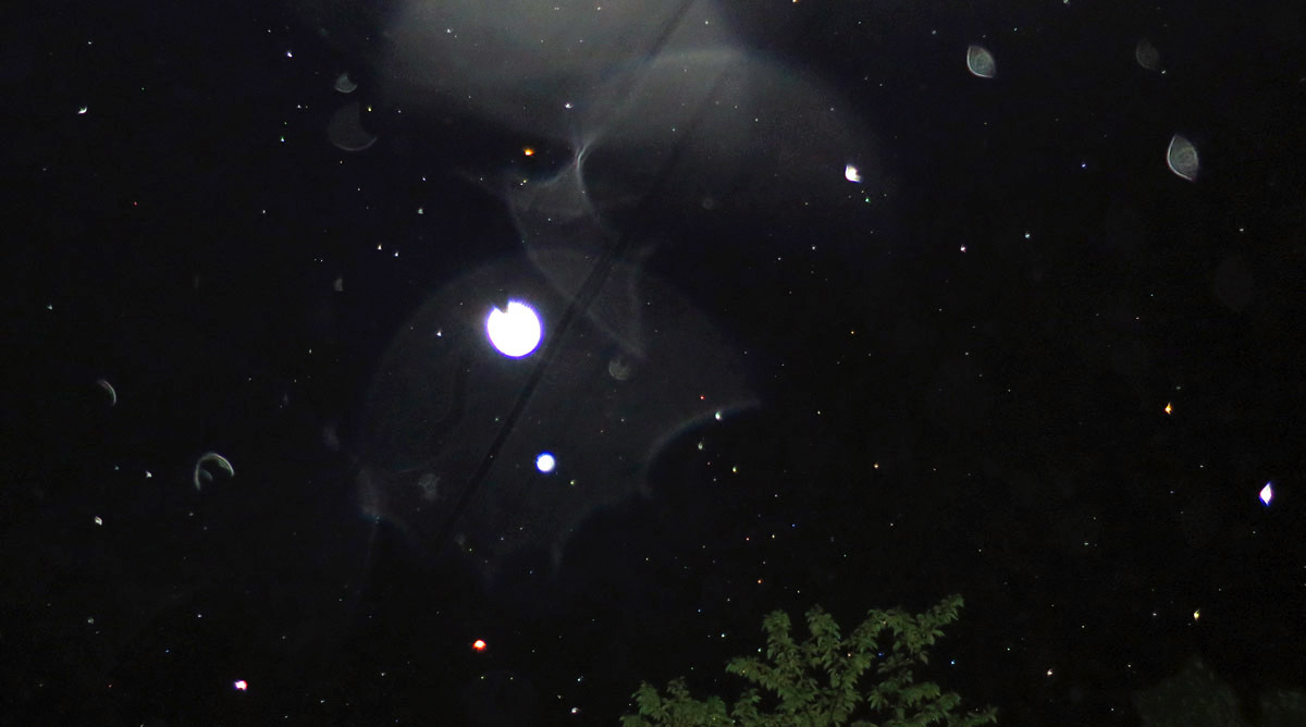 c0331825_14045341.jpg