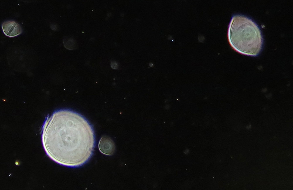c0331825_14203472.jpg