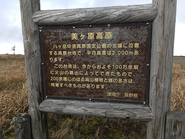 d0382626_11491938.jpg