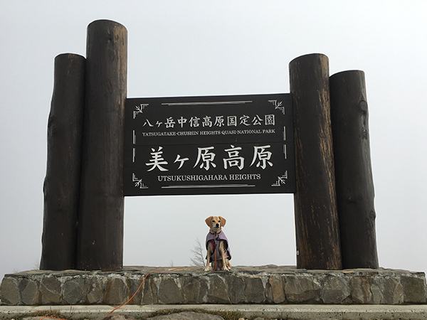 d0382626_11525383.jpg