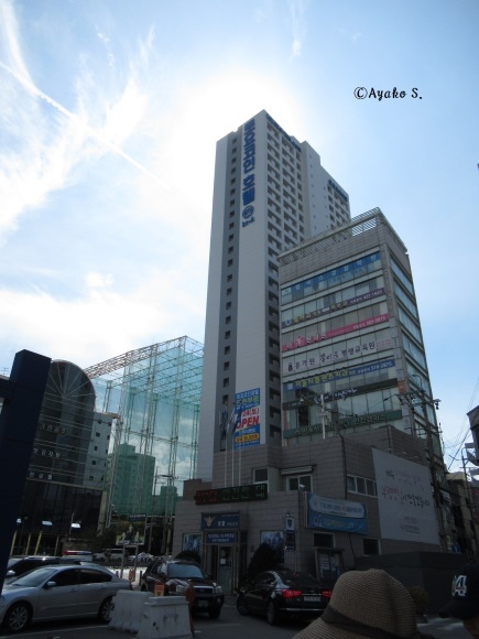 f0283431_00162512.jpg
