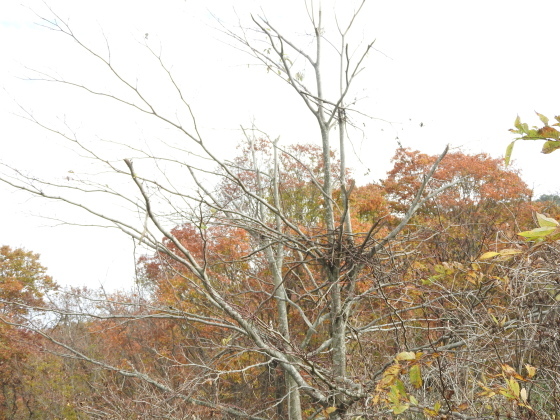 f0118332_23163097.jpg