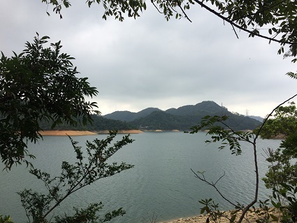 城門郊野国立公園のパイナップル・ダムでハイキング☆Pineapple Dam Nature Trail in Shing Mun Country Park_f0371533_14460013.jpg