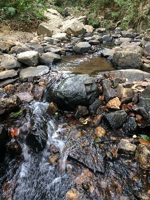 f0371533_14461050.jpg