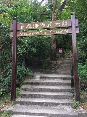 f0371533_16485241.jpg