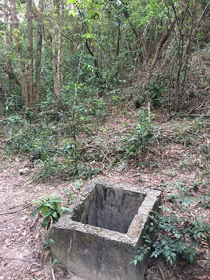 f0371533_16492771.jpg