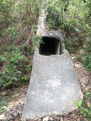 f0371533_16493990.jpg