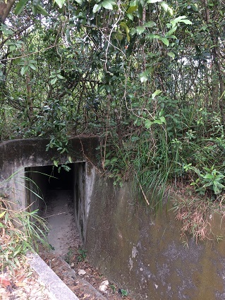 f0371533_16495678.jpg