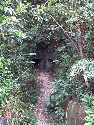 f0371533_16501533.jpg