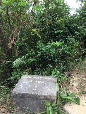 f0371533_16505583.jpg