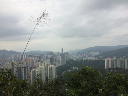 f0371533_16510806.jpg