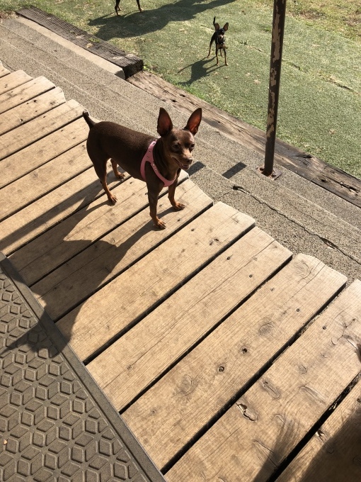 b0369239_11092670.jpeg