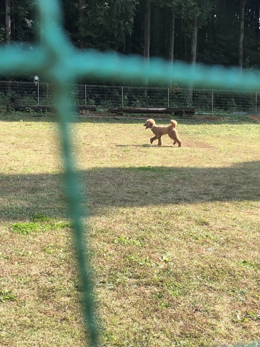 b0369239_11134649.jpeg