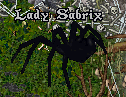 b0402739_00022634.png