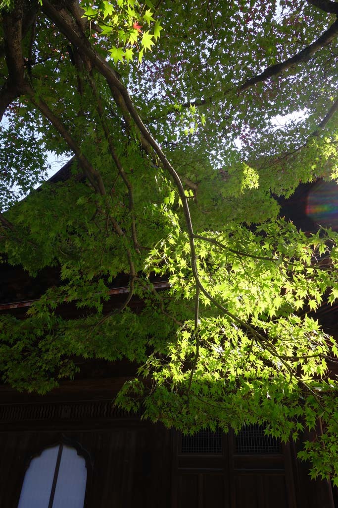d0250840_06383197.jpg