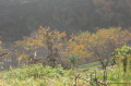 b0260241_00222365.jpg