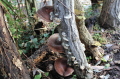 b0260241_00224349.jpg