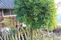 b0260241_00230272.jpg