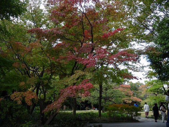 b0299042_16262686.jpg
