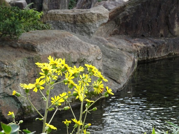 b0299042_16264810.jpg