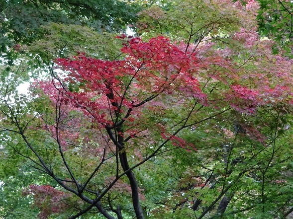 b0299042_16272787.jpg