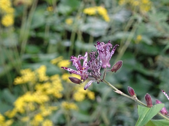 b0299042_16274814.jpg