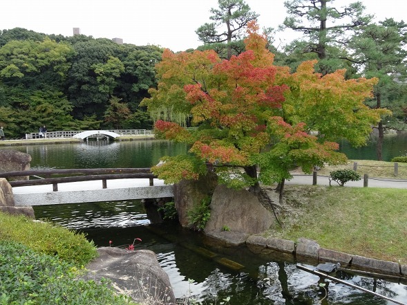 b0299042_16275497.jpg