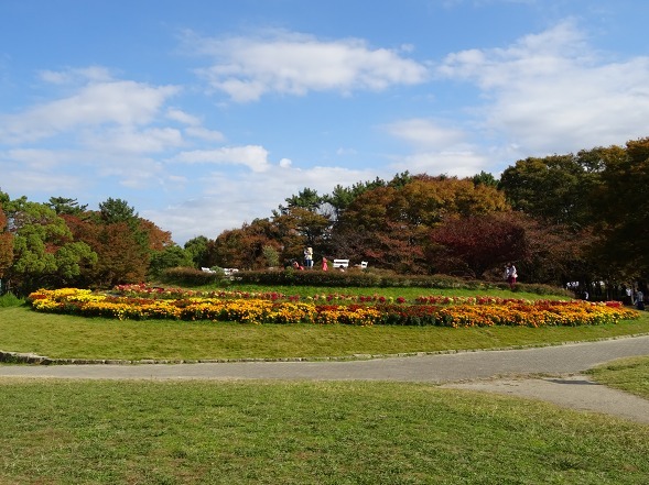 名城公園の紅葉_b0299042_17003929.jpg