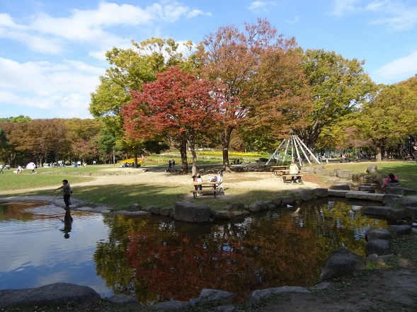 名城公園の紅葉_b0299042_17011698.jpg