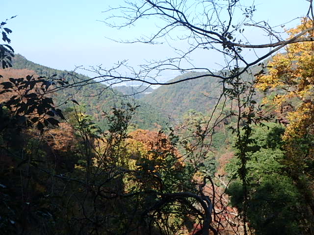 f0334143_22371425.jpg