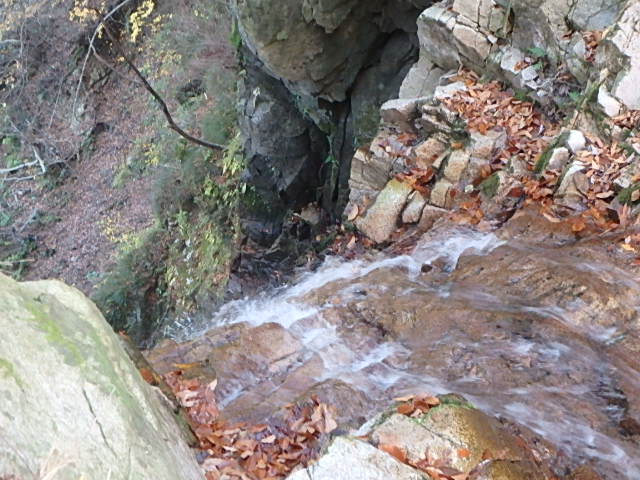 f0334143_22391428.jpg
