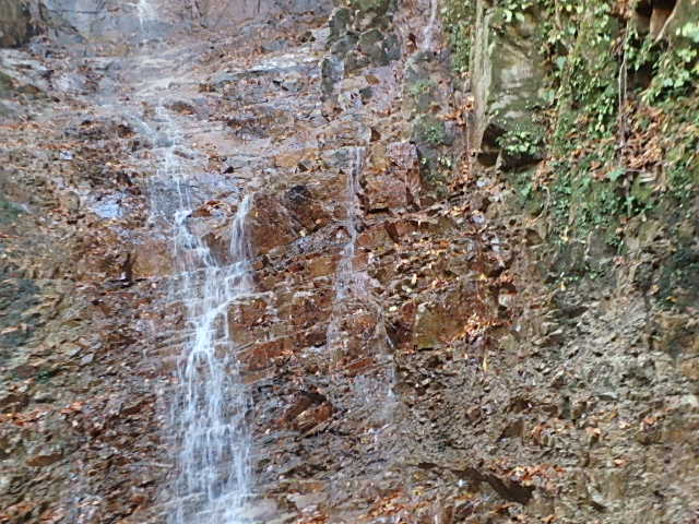 f0334143_22464654.jpg