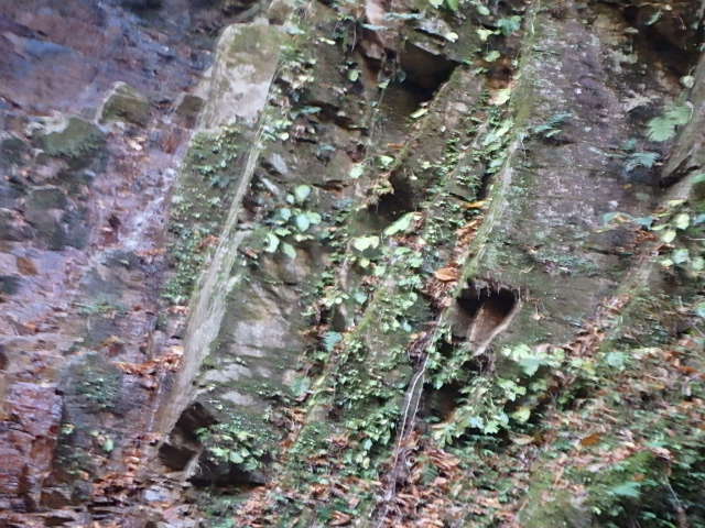 f0334143_2247292.jpg
