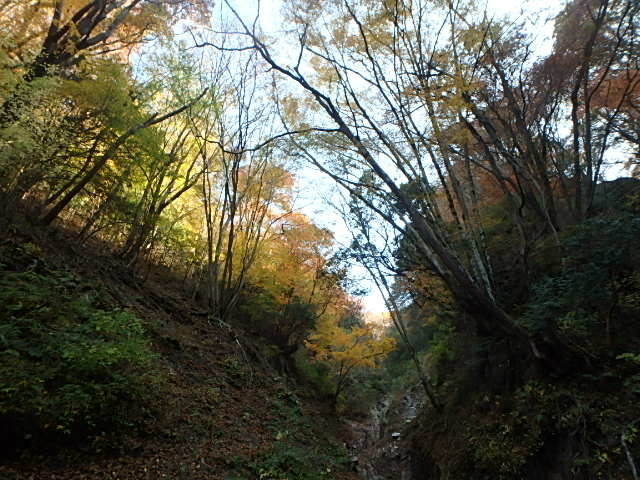 f0334143_22491710.jpg
