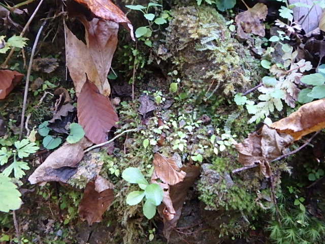 f0334143_2249409.jpg
