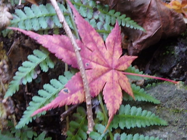 f0334143_22495494.jpg