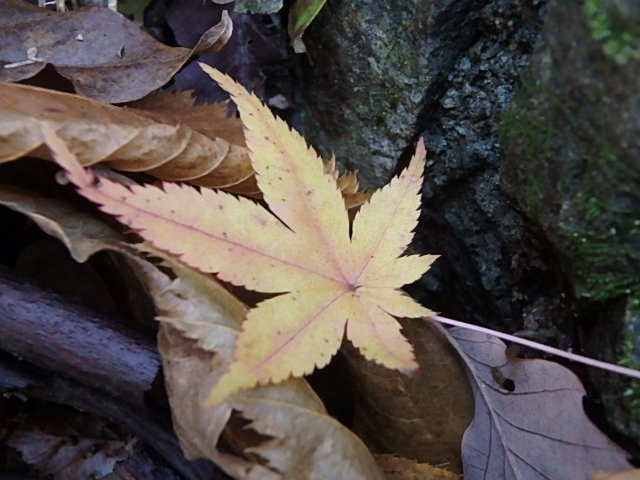 f0334143_2250414.jpg