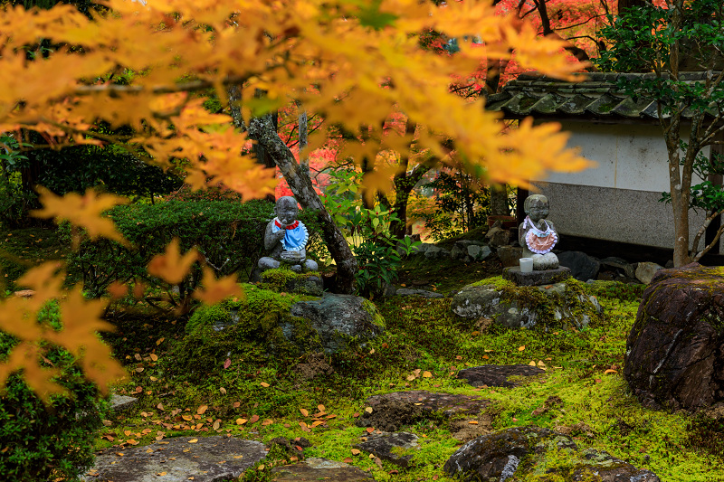 京の紅葉2018　染まりゆく苗秀寺_f0155048_22142556.jpg