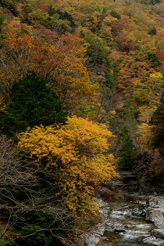 紅葉が彩る行者還林道_f0155048_23473539.jpg