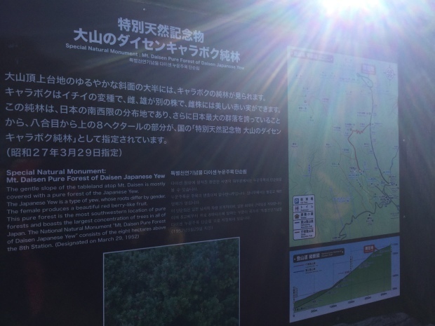 c0073152_23335044.jpg