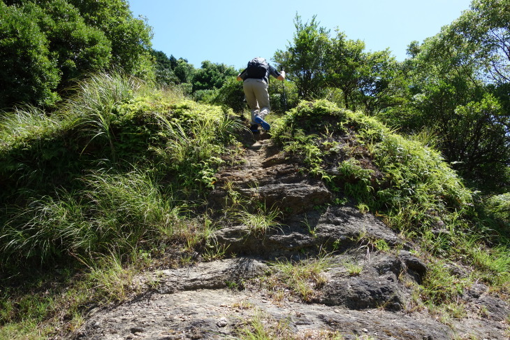 d0345153_20570805.jpg
