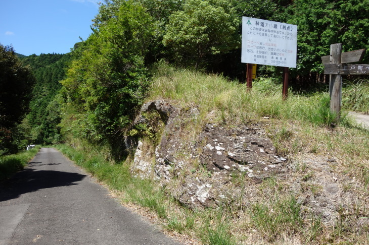 d0345153_21013421.jpg