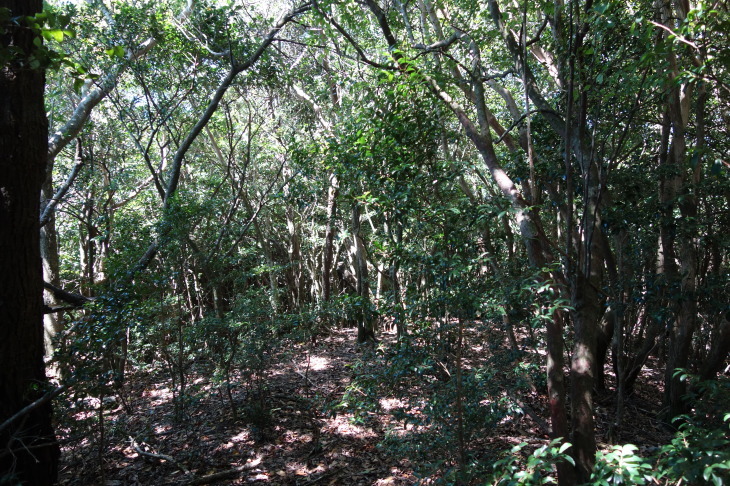d0345153_21090619.jpg